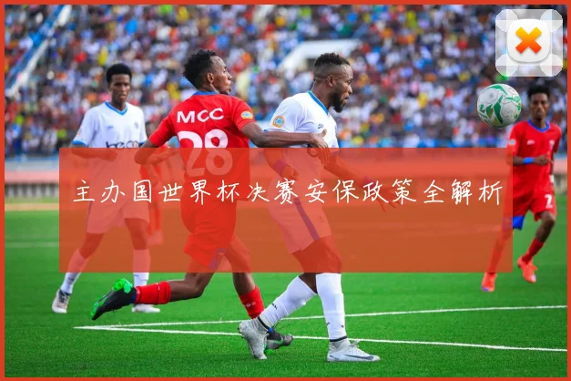 主办国世界杯决赛安保政策全解析