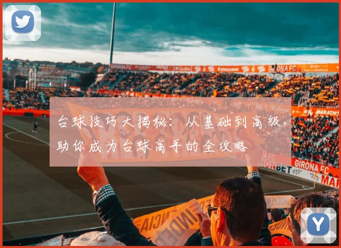 台球技巧大揭秘：从基础到高级，助你成为台球高手的全攻略