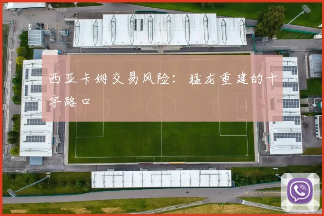 西亚卡姆交易风险：猛龙重建的十字路口