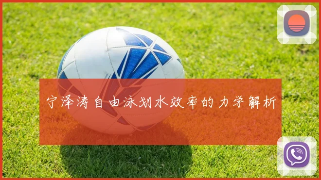 宁泽涛自由泳划水效率的力学解析