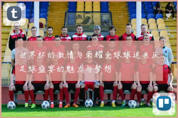 世界杯的激情与荣耀全球球迷共庆足球盛宴的魅力与梦想
