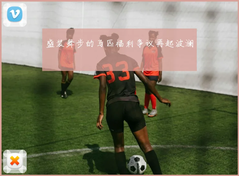 盛装舞步的马匹福利争议再起波澜