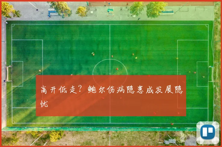 高开低走？鲍尔伤病隐患成发展隐忧