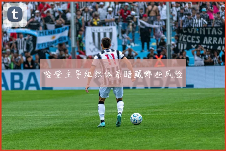 哈登主导组织体系暗藏哪些风险